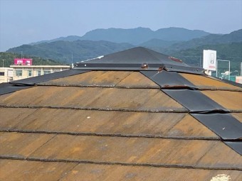 コケの繁殖したスレート屋根