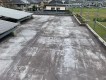 色褪せたシート防水の屋上