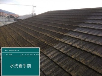 コケの繁殖したモニエル瓦屋根