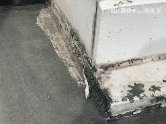 立ち上がり部のシートの劣化