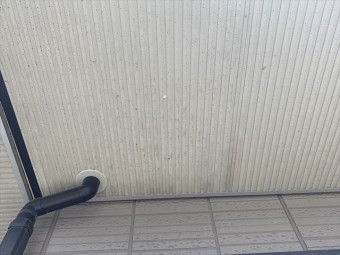 雨染み