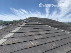 カラーベスト