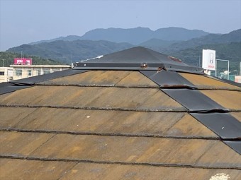 カラーベスト色褪せ