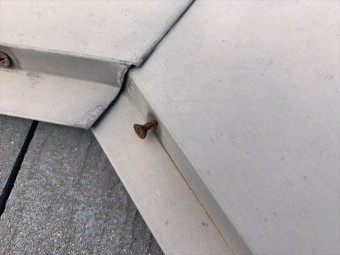棟板金 釘抜け