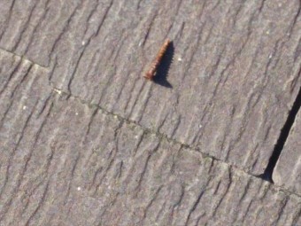 抜け落ちた棟板金の釘