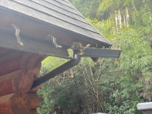 雨樋の外れ
