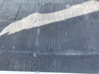 N邸カラーベスト浮き