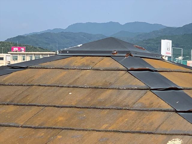コケの繁殖したスレート屋根