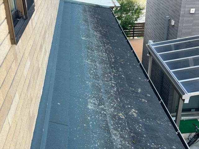 スレート屋根の苔やカビ