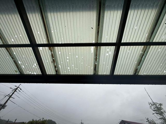 雹被害で穴が開いた波板