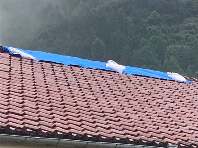 ブルーシートで雨養生をした瓦屋根