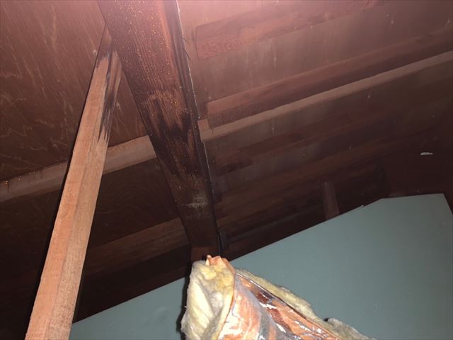雨漏りで傷んだ天井裏